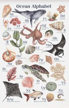 Ocean Alphabet Art Print