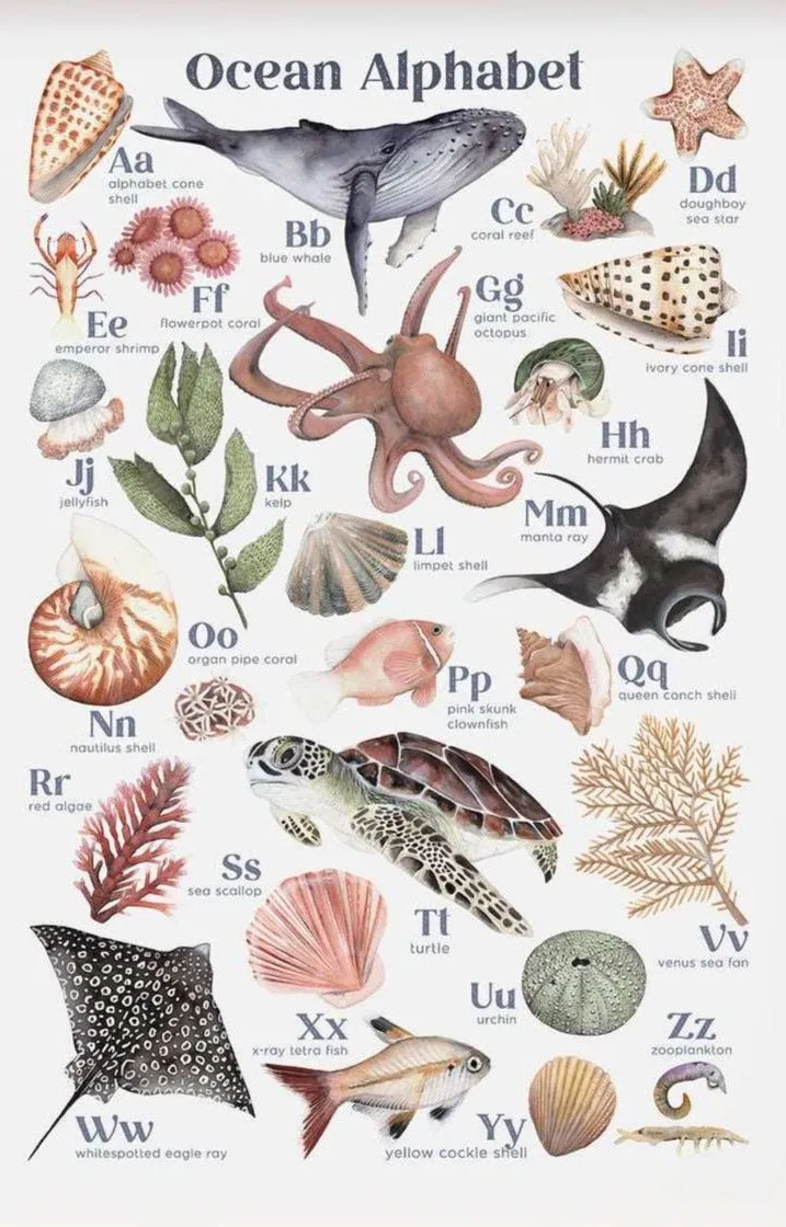 Ocean Alphabet Art Print